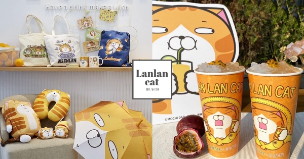 【全台】爛粉的狂歡！　手搖飲推出「白爛QQ水果茶」咀嚼感滿滿　加碼「白爛貓背包」可愛無極限！