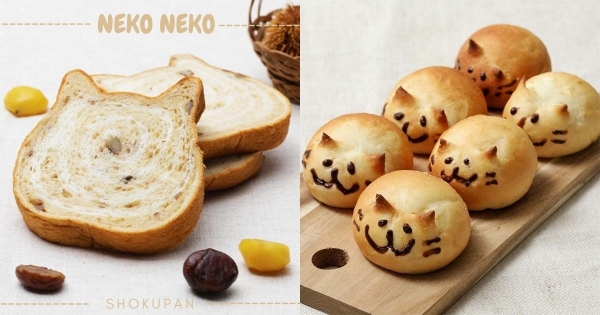 【全台】新口味貓貓！　秋季限定「栗子蒙布朗」質感香甜　還有醜萌「貓貓包子」笑臉療癒～