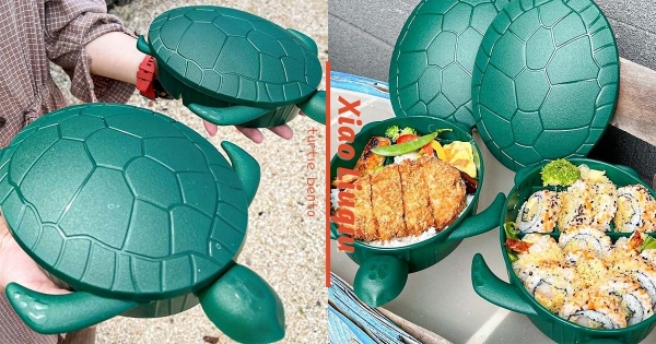 【屏東】說什麼都太可愛！　小琉球「海龜便當」Q萌美味　減塑愛地球還能把「小海龜帶回家」！