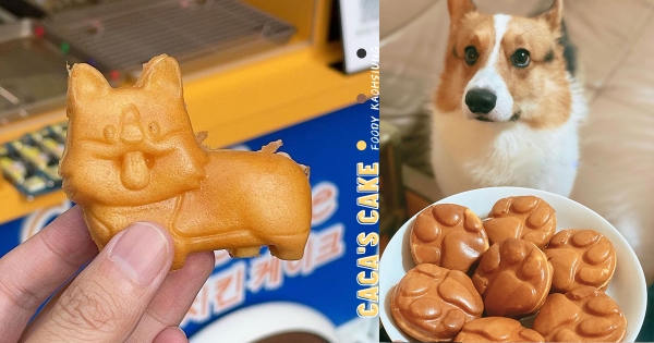 【高雄】狗勾雞蛋糕好萌！　隱藏版小餐車「卡卡手作雞蛋糕」　吃蛋糕朝聖超古錐「柯基店長」♡