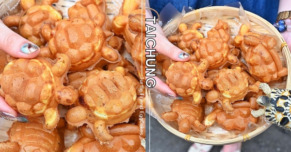 【台中】免飛離島！　台中就能吃到「烏龜雞蛋糕」　超可愛造型「神還原龜殼立體感」