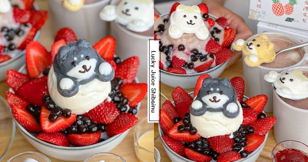 【台南】柴柴巨可愛！　冬季高顏值「柴犬草莓牛奶冰」　「滿碗草莓＋柴柴棉花糖」少女心尖叫