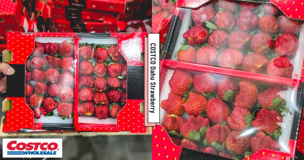 【全台】好市多「大湖香水草莓」人氣回歸開賣　新鮮草莓「大顆飽滿又多汁」草莓控先囤貨