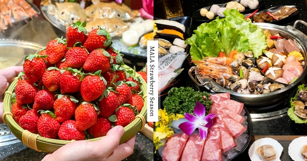 【北部】今年也要無限草莓！　馬辣集團「大湖草莓吃到飽」酸甜回歸　霸氣再送「九孔鮑、帆立貝」爽吃海味