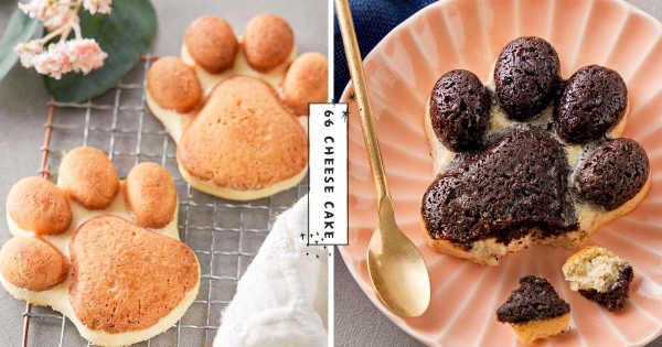 【全台】滿分的卡哇伊♡　起司蛋糕變身「萌Q小肉球」熊掌造型　「濃郁乳香 VS 輕甜巧克」雙口味怎麼吃都療癒～