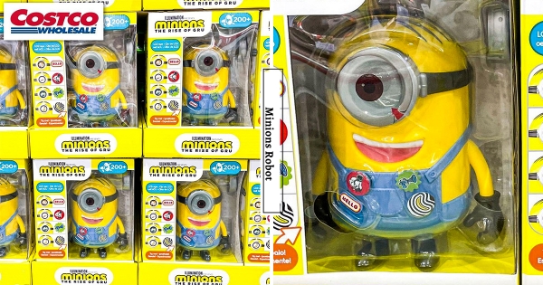 【全台】萌萌兵團出動！　好市多「小小兵互動機器人」　摸頭拉手手「不同互動反應」太可愛♡