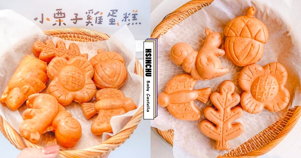 【新竹】敲可愛雞蛋糕♡　新竹動物園「森林系雞蛋糕」萌暈款　大自然風「小松鼠、橡實造型」過度欠吃