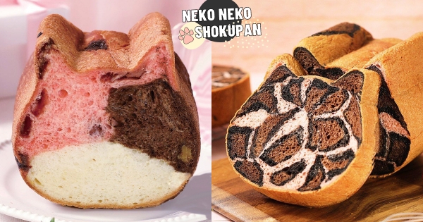 【全台】情人節限定貓貓！　貓咪吐司「粉紅豹貓、草莓三花」粉嫩亮相　再吃濃厚可可香「貓貓布朗尼」