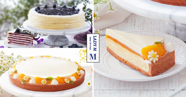 【全台】可以這很春天！　Lady M新推輕甜「洋甘菊慕斯塔」　滿分欠吃度「開小花造型」可愛加到滿♡