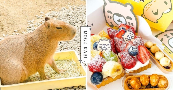 【台南】可愛值點到最滿！　超人氣「水豚君咖啡廳」療癒到飛天　「繽紛甜點+純白氛圍」還能拍出質感網美照！