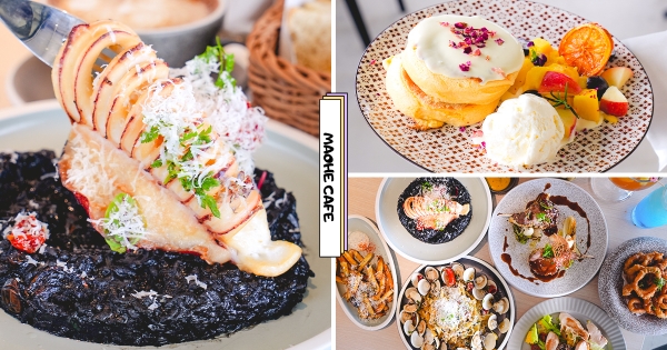 【桃園】貓主子賞臉陪吃飯♡　寵物友善「貓禾咖啡」景觀也完美　墨魚燉飯「霸氣整尾中卷」超誠意