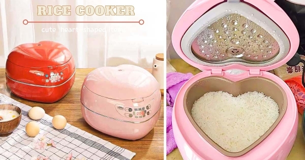 【海外】少女心先加滿！　超勾錐「愛心電鍋」煮飯都變好吃　「小巧造型+繽紛雙色」增添浪漫氛圍♡