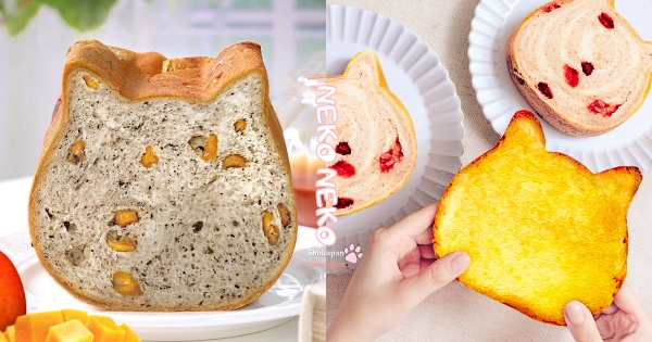 【全台】貓咪吐司新口味！　超邪惡「金黃奶酥＋草莓牛奶」雙口味　再吃台灣限定「芒果伯爵喵」