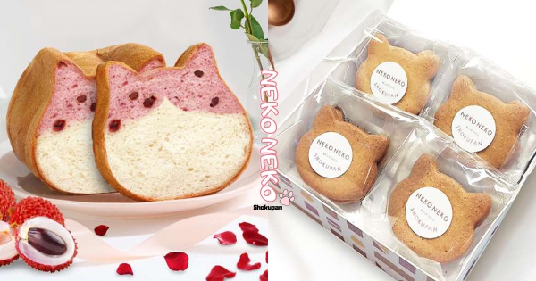 【全台】七夕限定粉嫩貓貓♡　貓咪吐司「薔薇荔枝」夢幻登場　再吃甜甜香「貓貓布朗尼」