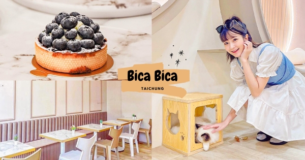 【台中】要捏臉以為在做夢！　台中夢幻新去處「BICA BICA 享貓」被貓貓圍繞　超美「布偶貓」療癒萌翻天！