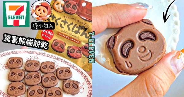 【全台】巧克力控新歡小餅乾！　7-11開賣日系「熊貓造型巧克力餅乾 」　每一片不同表情翻面更驚喜