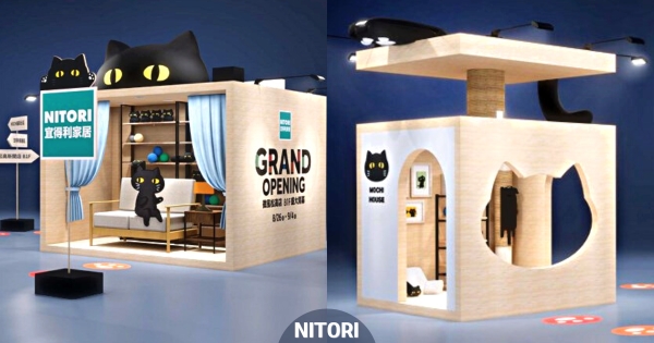 【台北】貓奴來集合！　宜得利「黑貓樂園快閃店」佔領信義區　巨型貓跳台、黑貓娃娃機、扭蛋機等你來打卡