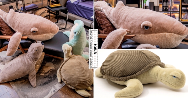 【全台】IKEA鯊鯊有對手了！　HOLA 推140公分「超巨鯨魚抱枕」　海洋生物一臉「看破紅塵」模樣超鬧！