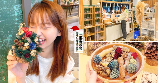 【全台】自己的聖誕樹自己做！　「永生松果聖誕樹DIY」限時特賣　華麗外型存放1年每一天都療癒滿滿♡