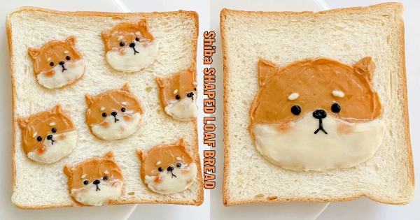 【海外】柴柴吐司太Q！　吐司上有「皺眉柴柴」超委屈　無辜眼神根本捨不得吃♡