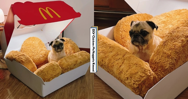 【海外】單身狗必備！　放大版「巨型麥克鷄塊狗窩」出沒　狗狗躺雞塊裡超快樂