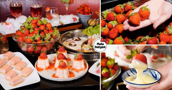 【台北】限時7天！　馬辣「無限吃草莓」療癒回歸　身分證「中2碼」再享巨蛤吃到飽