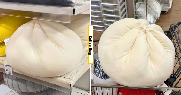 【海外】好一顆大肉包！　宜得利推超療癒「巨型肉包抱枕」　軟Q可愛好想抱緊處理