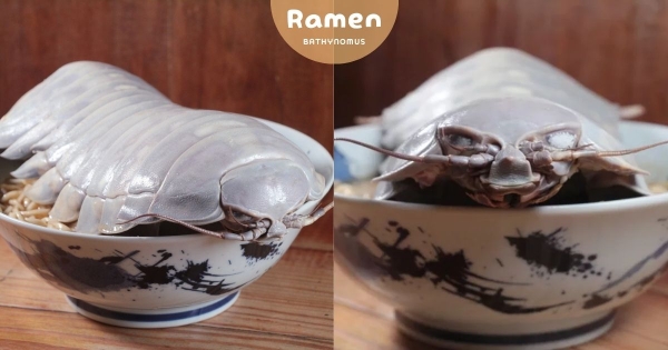 【台北】史上最浮誇食材！　拉麵店推一整隻「大王具足蟲拉麵」限定登場　「碗都被蓋住」肉量曝光！