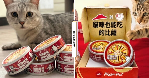 【全台】必勝客太狂！　竟推出「貓貓也能吃的比薩」復刻西京燒職人鮭魚口味　孝敬喵皇成為天選之貓！