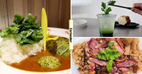 【台北】不夠愛還不敢來！　全台最狂「香菜市集」滿滿香菜料理吃到飽　「香菜吉拿棒」嘗過忘不了～