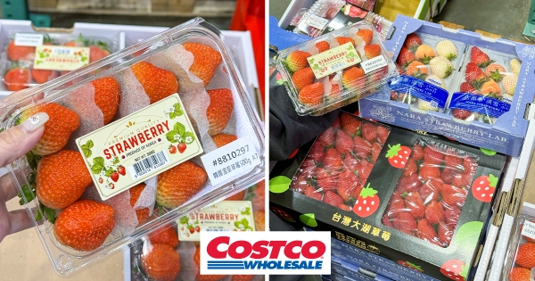 【全台】缺貨的草莓就在這！　好市多「三國草莓大比拼」　「日本三色草莓、韓國溫室草莓、大湖草莓」鮮甜飽滿超好吃