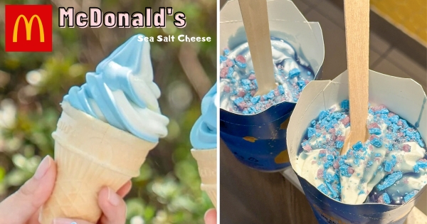 【海外】裡頭有星空！　麥當勞超高顏值「海鹽芝士風味冰炫風」登場　海鹽芝士霜淇淋奶香超迷人