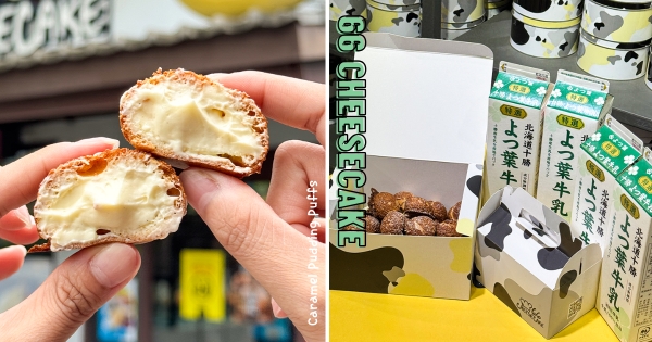 【全台】日本神級甜點就在台灣！　66 cheesecake「卡士達爆漿脆殼泡芙」聯名北海道十勝　每日一出爐秒排爆！