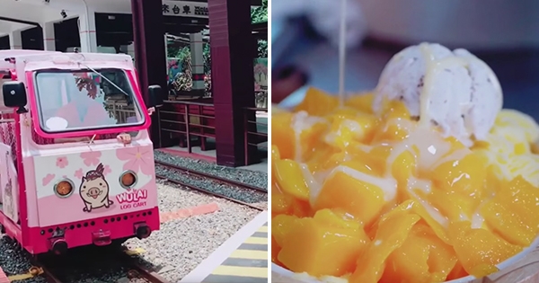 情侶台北一日遊就是要去烏來　「老街8美食」吃到幸福感爆棚