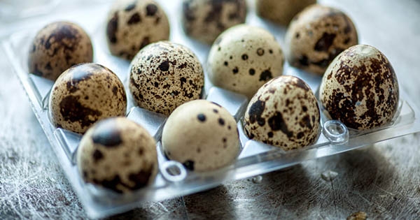 台灣人太愛鳥蛋一年狂嗑5億顆！　「真正來源曝光」多到外銷還有剩