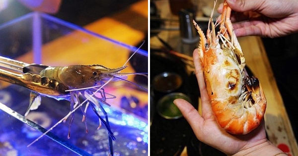 超夯的泰國水道蝦現身台南！　燒烤吃到飽「肥美蝦蝦現夾」還加碼噴汁蚵仔