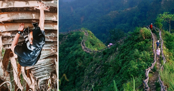 台版萬里長城「300公尺垂直天梯」 超美　過程充滿驚喜吸引許多遊客挑戰