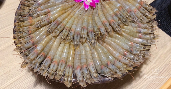 9月壽星快報名！超狂火鍋店「幾歲就送幾隻蝦」　吃不完還能帶回家～