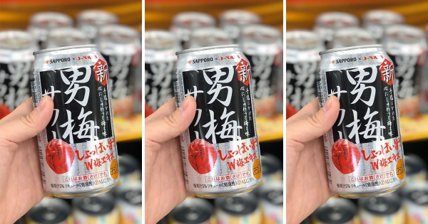 小七限定！日本必買「男梅汁糖」推大人der「男梅啤酒」不用飛出國也能喝到