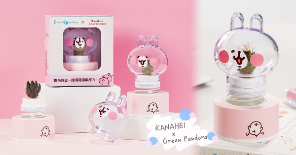 【全台】怎麼能不收？史上最療癒「卡娜赫拉＋多肉植物」　超萌彈簧盆栽7-11預購登場