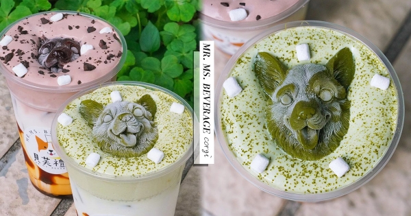 【台北】少女心藏不住！　IG新寵「厚奶焦糖飲」漸層超美　呆萌「柯基冰磚」怎麼捨得喝！