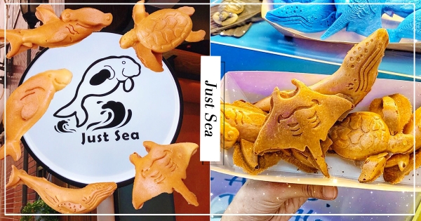 【新北】拍完捨不得吃！　中和巷弄「海底世界雞蛋糕」　超萌海龜造型甜點控開吃！