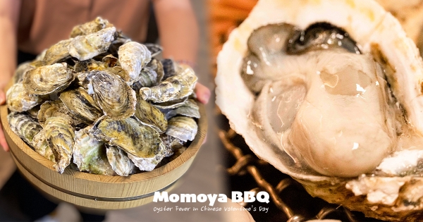 【台北】哞哞屋下重本！　肥滿東石生蠔「免費升級」吃到飽　比愛心再送「北海道大干貝」