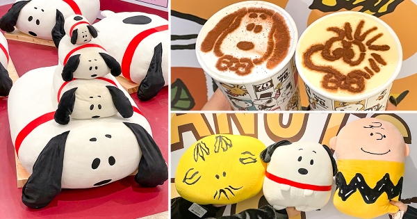 【台北】史努比粉集合囉！　最終場「史努比70週年巡迴展」正式開跑　限定公仔、史努比飲料好買又好拍！