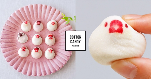 【日本】每隻都超靈動！療癒和風「文鳥棉花糖」　內餡醇厚綿密文鳥控嗨翻：捨不得吃掉～