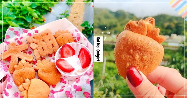 【苗栗】少女心失去控制！　大湖最粉嫩「草莓雞蛋糕」　超可愛造型草莓控先吃♡