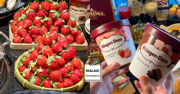 【北部】草莓控繼續開吃！　馬辣「大湖草莓吃到飽」加碼延長　超划算「299元午茶方案」強勢回歸！