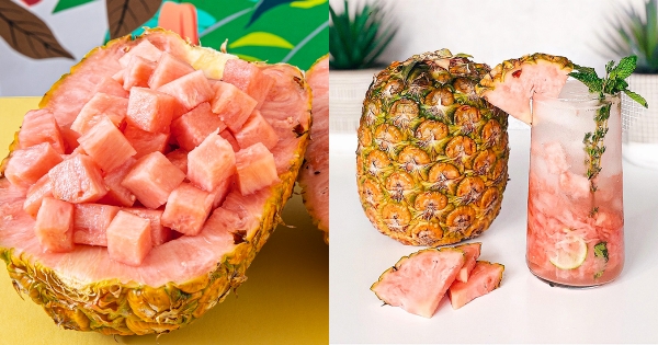 這鳳梨也太美！　社群熱傳新品種「夢幻粉嫩色鳳梨」　少女感粉色果肉更甜更Juicy！