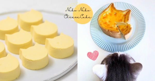 【台北】只有吐司還不夠！　日本超夯「貓咪起司蛋糕」登台開賣　「濃醇起司＋杏桃果醬」太療癒