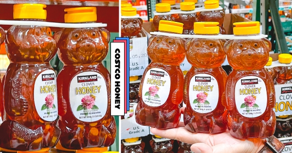 【全台】熊熊盯著你～　好市多超鬧「柯克蘭小熊蜂蜜」　網友看一眼被萌到：莫名可愛